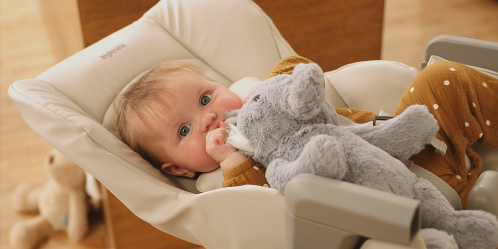 Inglesina My Time Detay