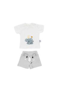 Gezenbebe Hero Kısa Kol Desenli Bebek T-Shirt & Nakışlı Şort Seti - Koala 
